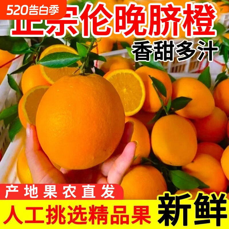 秭归伦晚脐橙当季新鲜甜橙子孕妇水果整箱直发顺丰包邮10年货优选