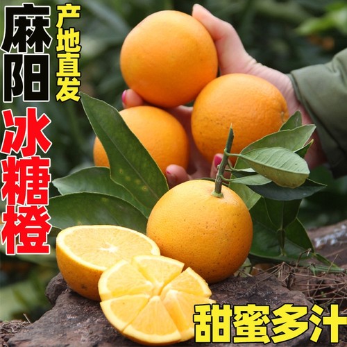 正宗麻阳冰糖橙当季现摘橙子新鲜水果果冻纯甜榨汁果冻甜橙果9斤