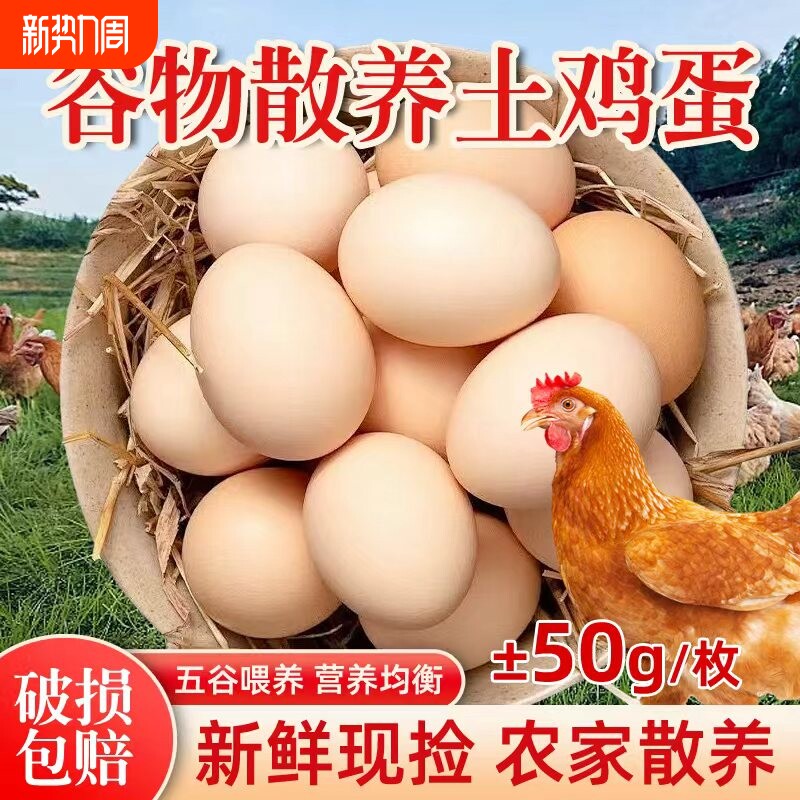农村散养土鸡蛋30枚湖北大别山虫草谷物蛋不腥现捡现发当日鲜鸡蛋