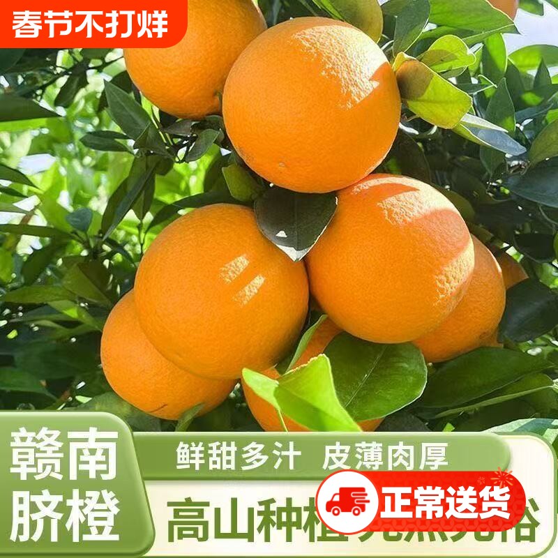 正宗赣南脐橙新鲜现摘现发10斤装应季水果产地直发
