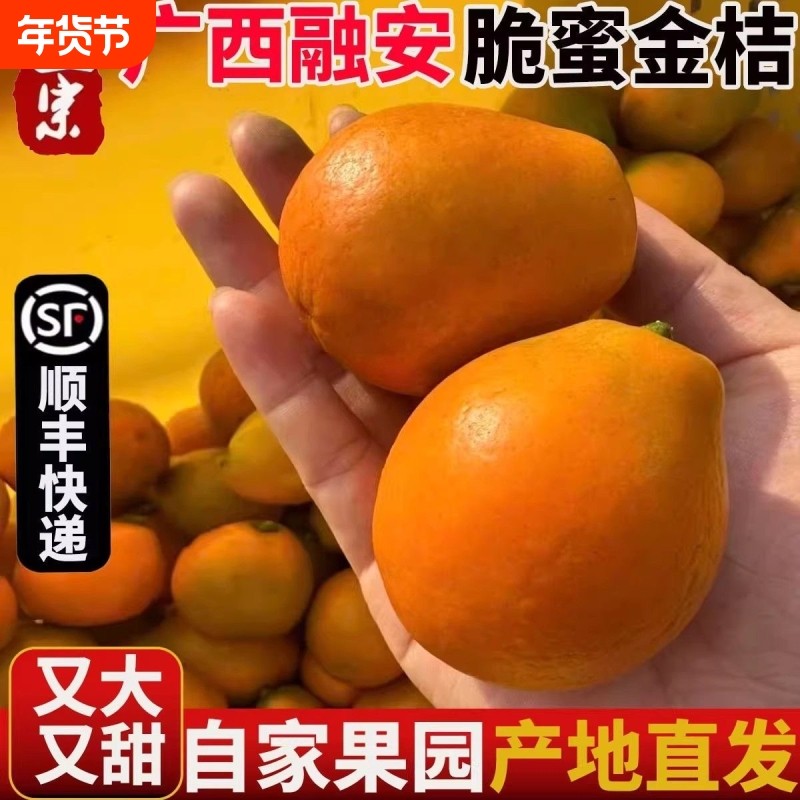 【顺丰包邮】正宗广西融安脆蜜金桔第三代脆蜜金柑应季水果礼盒,水产肉类/新鲜蔬果/熟食,桔子,淘宝优惠券,粉丝福利购,淘宝优惠卷
