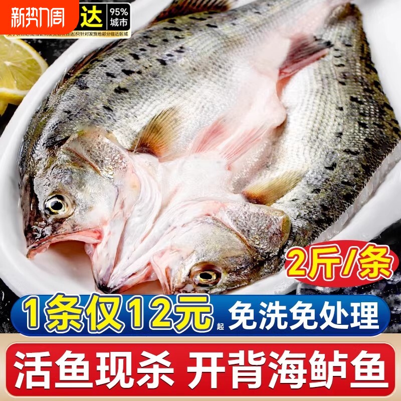 海鲈鱼开背新鲜冷冻鲜活深海鲈鱼白蕉七星水产卢鱼烤鱼半成品商用