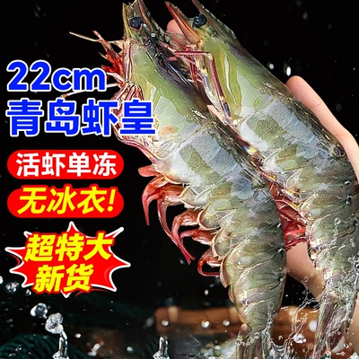 虾鲜活超大速冻青岛大虾2030海虾新鲜基围虾冻虾白虾盐冻青虾水产