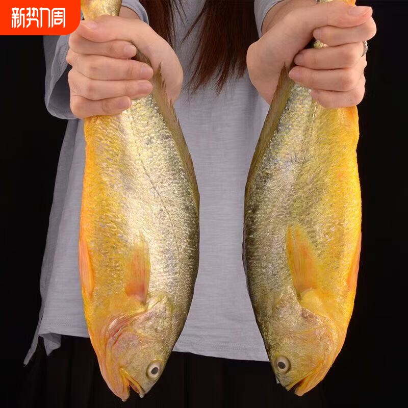 黄花鱼新鲜冷冻养殖大黄鱼生鲜海鲜水产小黄鱼海鱼整箱源头年货节
