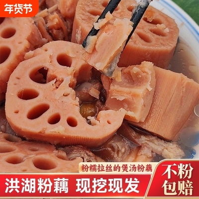 洪湖粉藕正宗湖北特产新鲜莲藕煲汤粉藕湖泥藕汤藕九孔藕保鲜发货