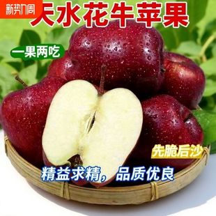 产地精品年货节 包邮 甘肃天水花牛苹果水果新鲜当季 整箱糯苹果顺丰