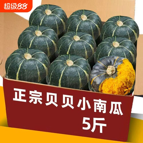 贝贝南瓜正宗板栗味粉糯新鲜小南瓜栗面老瓜婴儿孕妇粉糯整箱