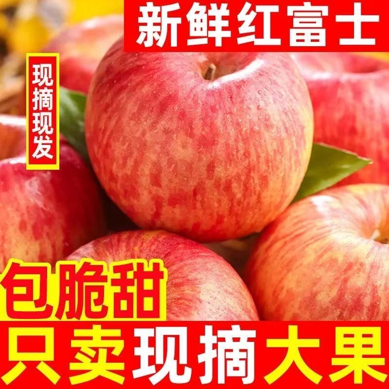 脆甜正宗山西冰糖心红富士丑苹果当季新鲜水果批发一整箱超大现摘