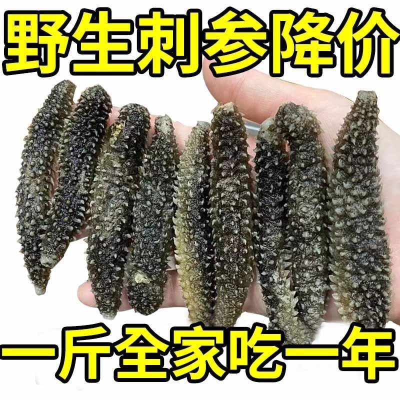 野生海参干货孕妇级纯野干散装批发正宗黑刺参批发特价非即食海参