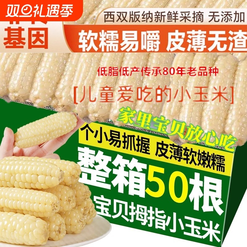 云南西双版纳拇指小玉米新鲜手指宝宝糯玉米早餐婴儿真空玉米当季