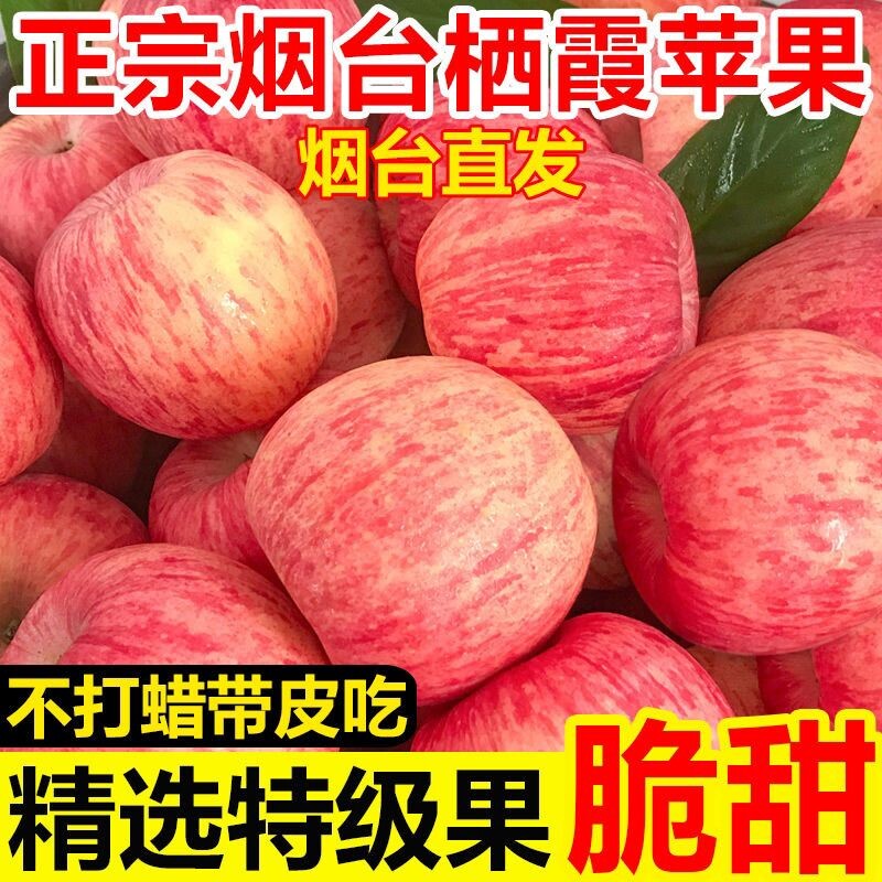 烟台红富士苹果当季斤新鲜水果整箱山东栖霞脆甜多汁冰糖心丑平果