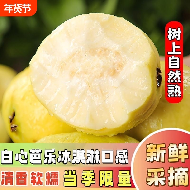 广西软心番石榴白心芭乐当季新鲜水果软糯奶油芭乐果热带黄金生鲜,水产肉类/新鲜蔬果/熟食,番石榴/芭乐,淘宝优惠券,粉丝福利购,淘宝优惠卷