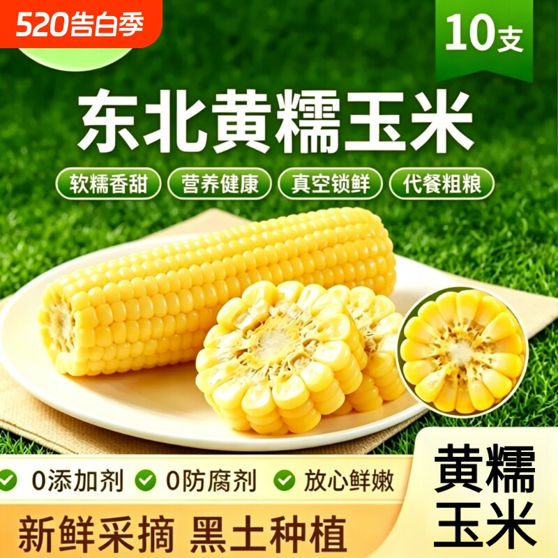 东北直供新鲜黄糯玉米软糯香甜大棒密封包装主食糯玉米真空保鲜