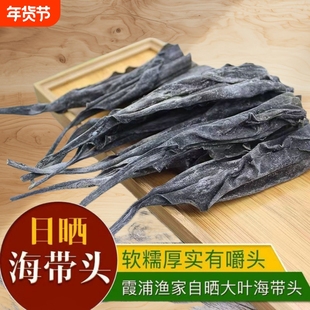 新货霞浦特产海带头高倍泡发营养丰富干货干海带厚实美味优质新鲜