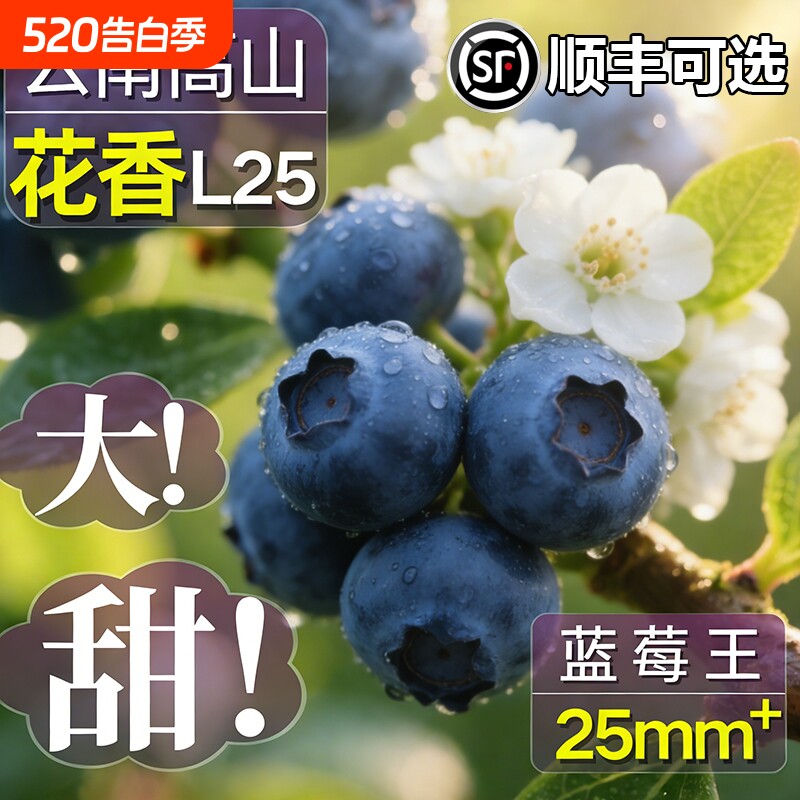 蓝莓鲜果新鲜高端水果云南现摘特大果孕妇水果整箱顺丰超大花香