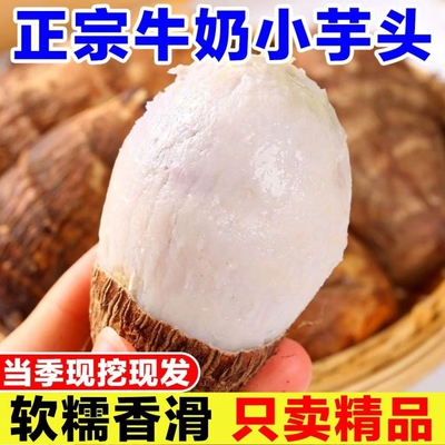 牛奶芋头香芋糯芋香糯毛芋芋艿