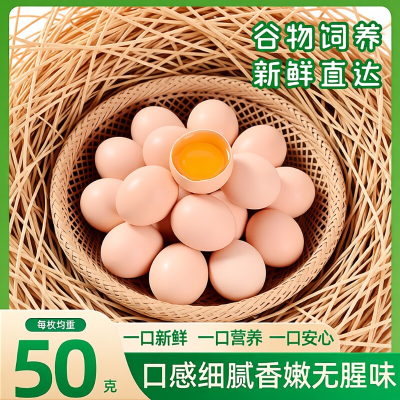 新鲜谷物鸡蛋饲养农场鲜草谷物蛋美味早餐蛋