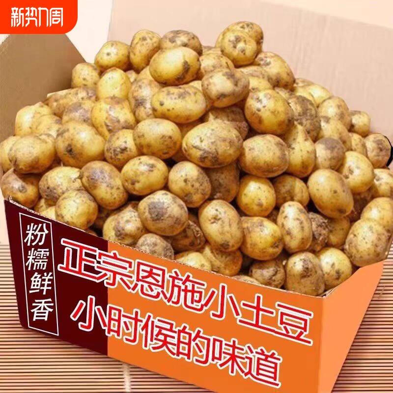 恩施农家新鲜小土豆现挖高山黄心洋芋迷你黄皮马铃薯蔬菜正宗批发