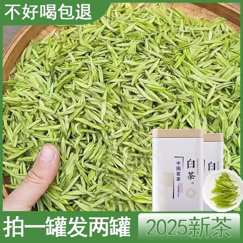 2025年正宗安吉白茶特级雨前茶叶