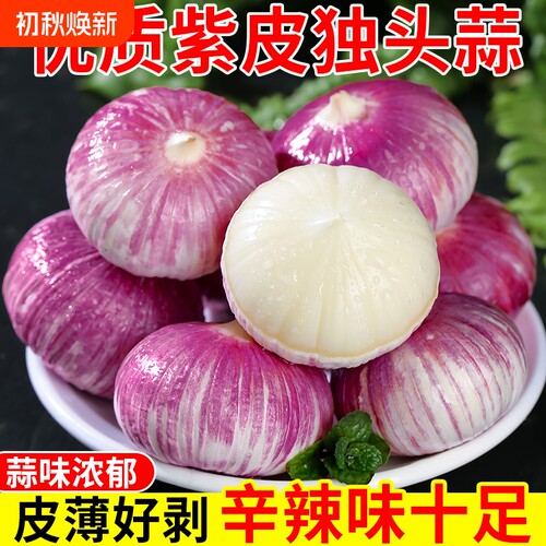 云南紫皮独头蒜调味佳品蒜味浓