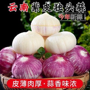 云南紫皮独头蒜新鲜农家大蒜头当季 蔬菜 5斤非干蒜湿蒜2026年应季