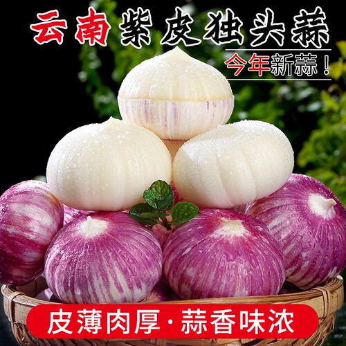 云南紫皮独头蒜调味佳品蒜味浓