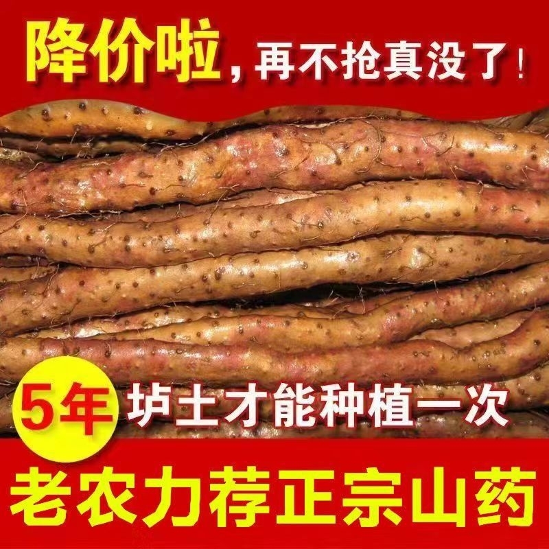 正宗铁棍山药新鲜铁杆怀山药农家山药铁棍批发中药材