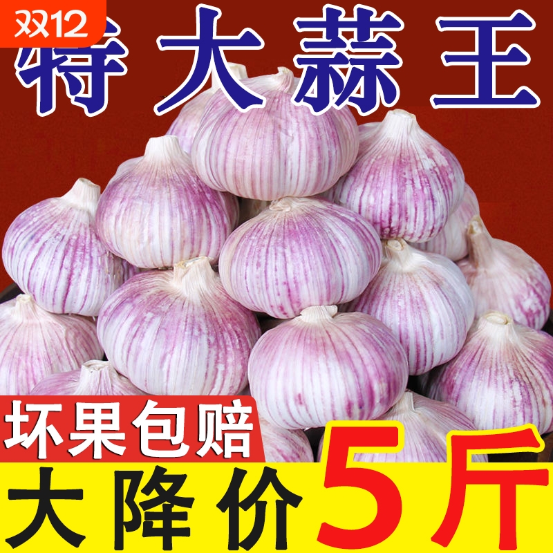 【新客立减】山东干蒜紫皮大蒜