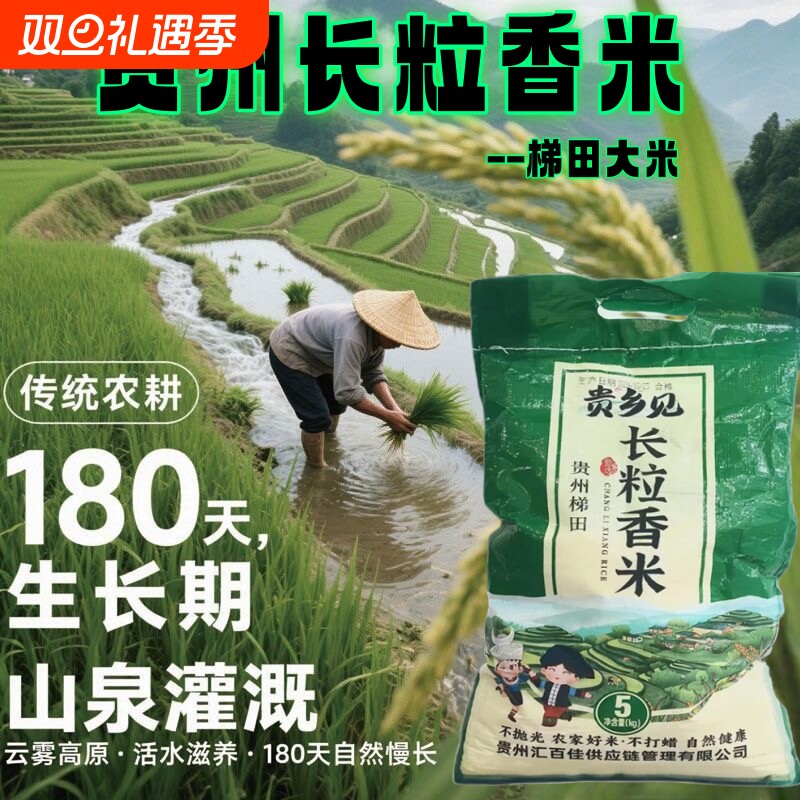 传统农耕贵州梯田长粒香米健康营养两不误农家自种田耕精选大米