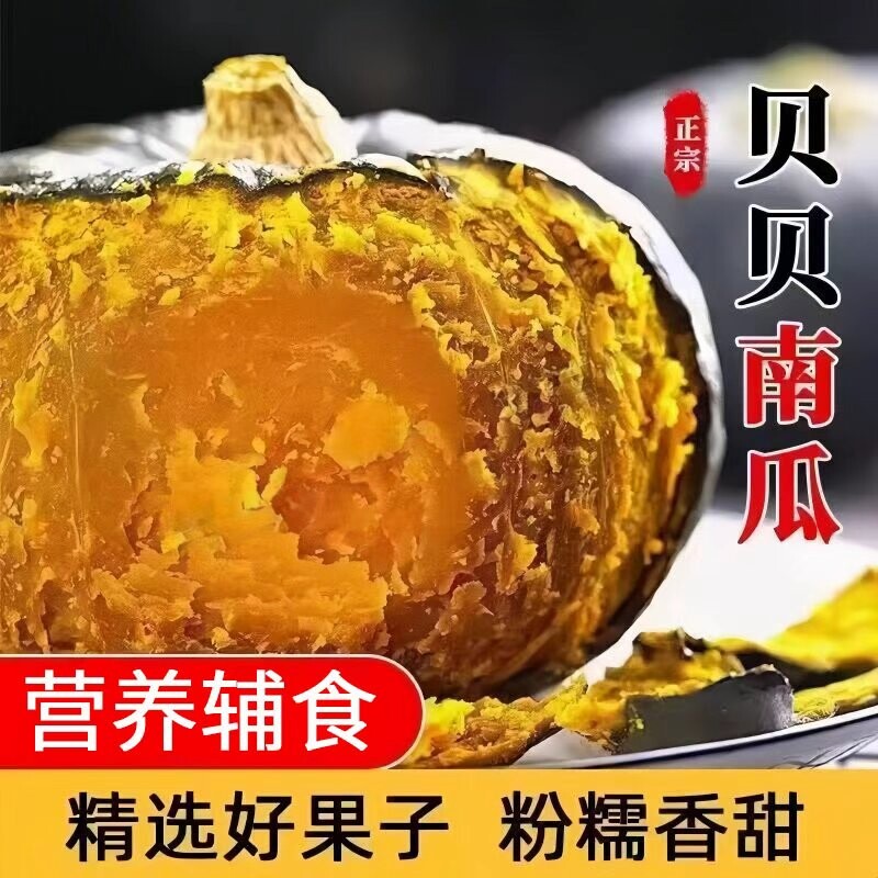 贝贝南瓜正宗板栗味小南瓜新鲜宝宝辅食粉糯营养丰富优质嫩南瓜