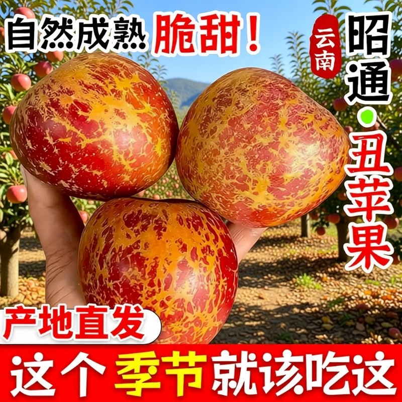 现摘丑苹果冰糖心正宗云南昭通新鲜水果甜当季萍果红富士脆甜高原