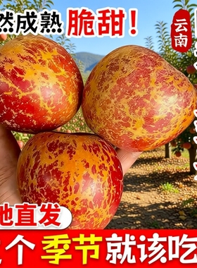现摘丑苹果冰糖心正宗云南昭通新鲜水果甜当季萍果红富士脆甜高原
