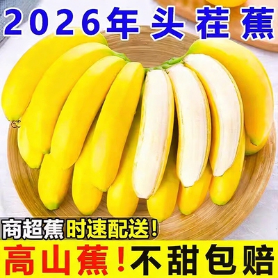 高山青皮甜香蕉新鲜香蕉无添加自然熟当季现摘现发绿蕉绿色香蕉