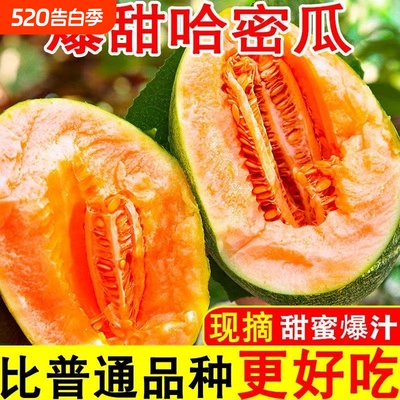 海南哈密瓜玲珑网纹蜜瓜当季现摘脆甜多汁皮薄新鲜香甜整箱装甜脆