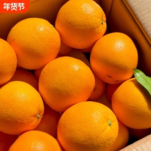 正宗赣南脐橙江西赣州橙子新鲜10斤装手剥甜水果现摘产地直发