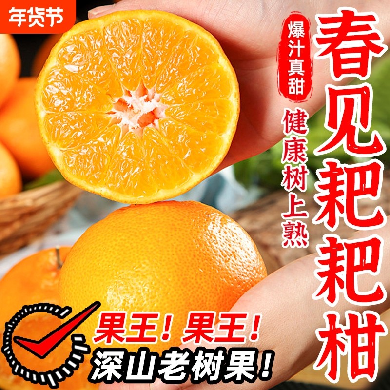四川春见耙耙柑粑粑柑杷杷柑新鲜水果整箱10当季橘甜爆汁年货节,水产肉类/新鲜蔬果/熟食,桔子,淘宝优惠券,粉丝福利购,淘宝优惠卷