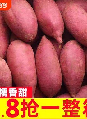新鲜红薯沙地农家自种黄心地瓜9斤香薯小山芋番薯蜜薯现挖现发