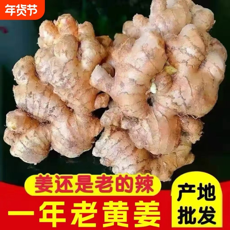 农家自种高山大黄姜5斤装生姜月子姜特级整箱批发新鲜现挖,水产肉类/新鲜蔬果/熟食,生姜/南姜,淘宝优惠券,粉丝福利购,淘宝优惠卷