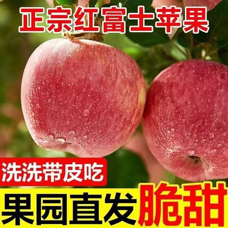 正宗红富士苹果冰糖心脆甜精品新鲜应季水果整箱丑苹果特级批发,水产肉类/新鲜蔬果/熟食,苹果,淘宝优惠券,粉丝福利购,淘宝优惠卷