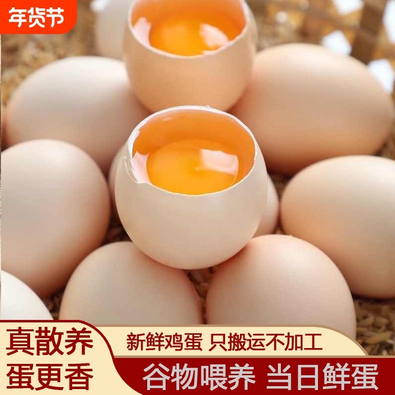 正宗农村土鸡蛋新鲜鸡蛋自然散养谷物鸡蛋虫草蛋柴鸡蛋40g±5g/枚,水产肉类/新鲜蔬果/熟食,鸡蛋,淘宝优惠券,粉丝福利购,淘宝优惠卷