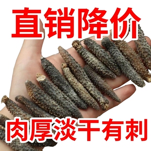 淡干野生海参干货500g散装海生海参海深孕妇非鲜活即食辽刺参水产