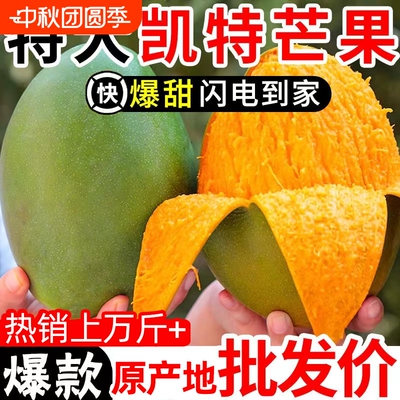 四川攀枝花凯特芒果5-9斤