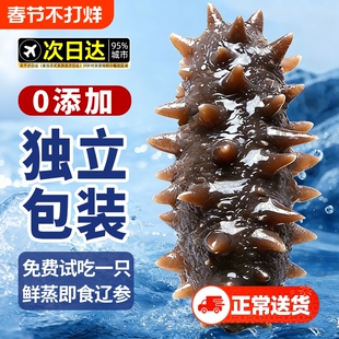 大连海参即食独立包装袋辽参刺参海渗鲜活淡干海鲜礼盒官方旗舰店