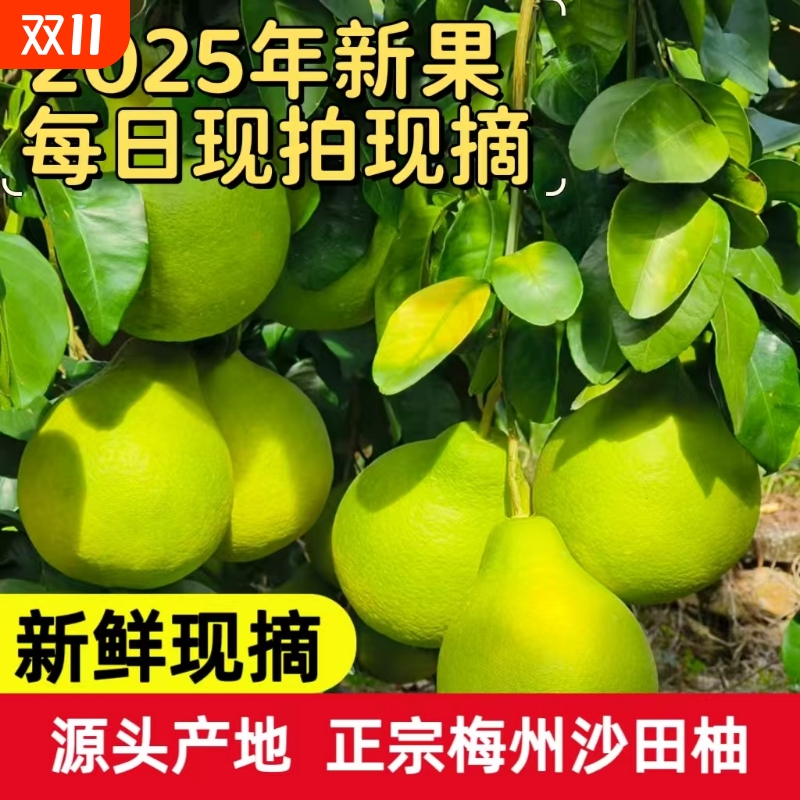 正宗梅州沙田柚10斤纯甜柚子广东金柚当季新鲜水果青皮需放置现摘