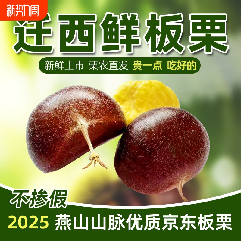 2025年新货迁西板栗生新鲜人工筛选大粒油栗栗子产地直发新鲜板栗