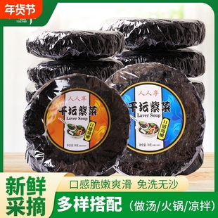 南澳头水紫菜优质干净无沙潮汕海鲜干货蛋花汤免洗年货节源头