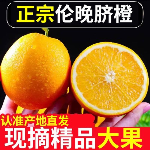 秭归正宗伦晚脐橙甜橙湖北当季橙子新鲜榨汁水果包邮整箱产地直发