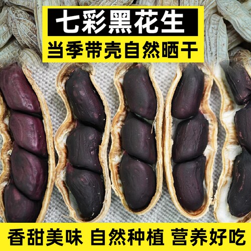 云南富硒黑花生带壳花生 新货晒干黑皮花生农家原味零食香甜包邮