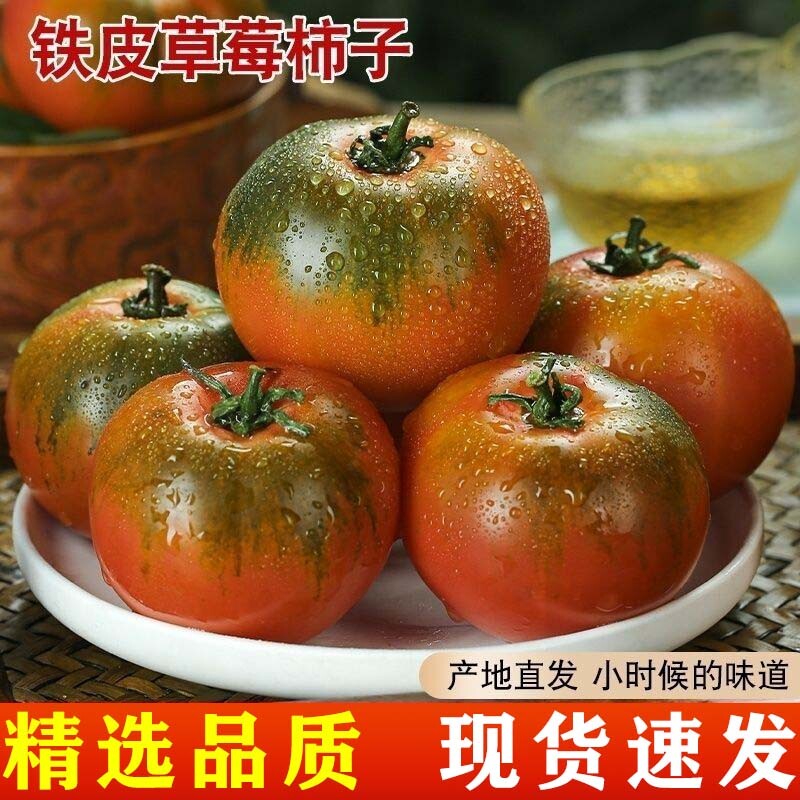 大连水果正宗东北草莓铁皮西红柿新鲜自然熟生吃番茄盘锦碱地柿子