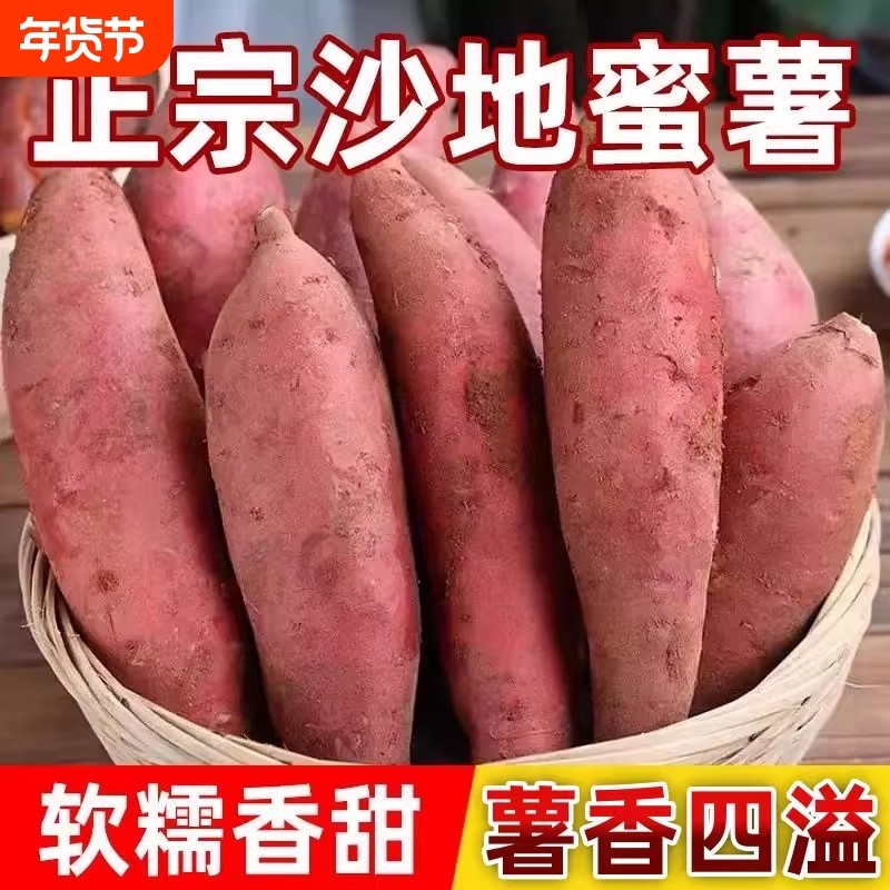 红薯新鲜河南沙地蜜薯板栗红薯糖心地瓜香薯农家自种现挖黄心